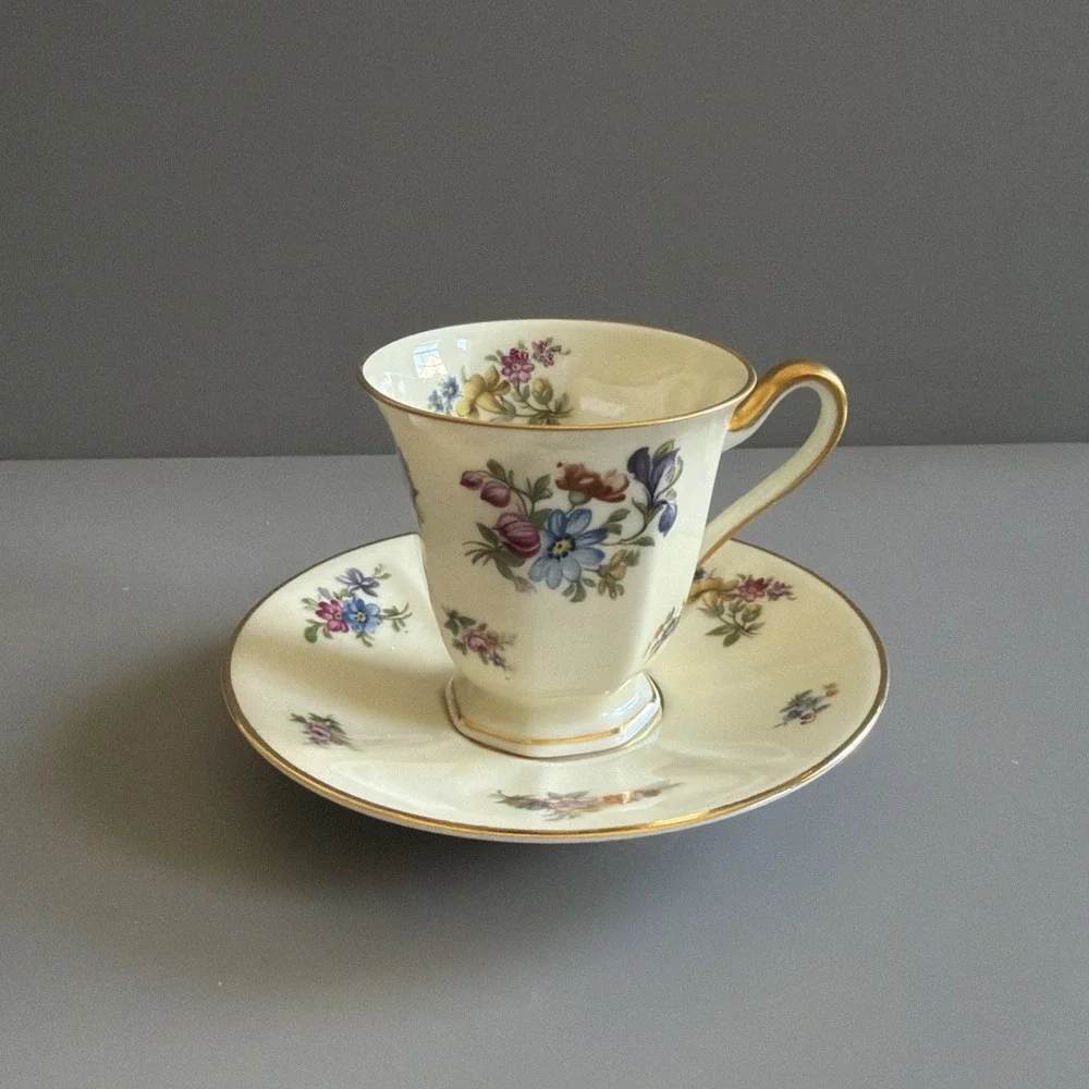 Vintage P.T. Bavaria Tirschenreuth Demitasse Cup & Saucer 